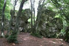 Landschaft 
