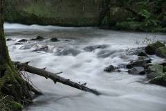 Wasser 