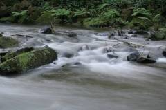 Wasser 