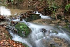 Wasser 