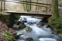 Wasser 