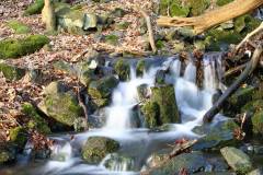 Wasser 