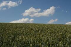 Himmel 