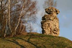 Landschaft 