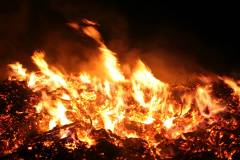 Feste 