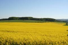 Landschaft 