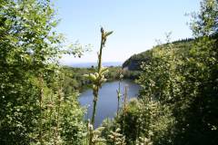 Landschaft 