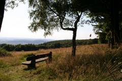 Landschaft 