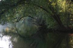 Wasser 