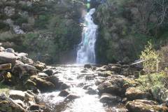 Wasser 