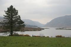 Landschaft 