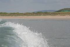 Wasser 
