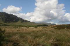 Landschaft 