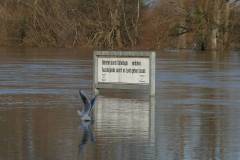 Hochwasser 