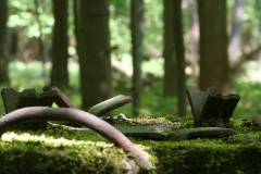 Historisches 