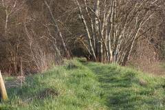 Landschaft 