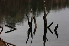 Wasser 