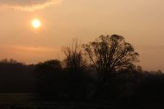 Landschaft 