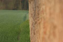 Landschaft 