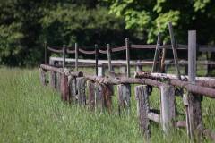 Landschaft 