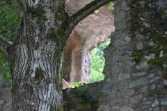 Ruinen/Burgen 