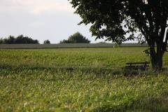 Landschaft 