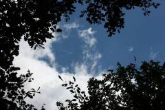 Himmel 