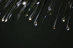 Wasser 