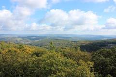 Wald 