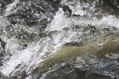 Wasser 