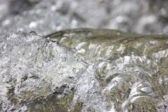 Wasser 