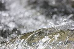 Wasser 