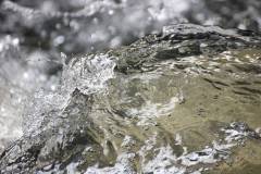 Wasser 