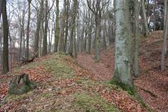 Wald 