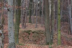 Wald 