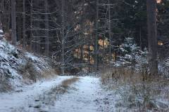 Winter 