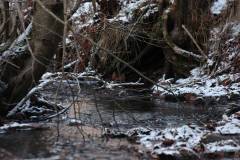 Wasser 