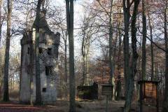 Ruinen/Burgen 