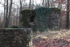 Ruinen/Burgen 