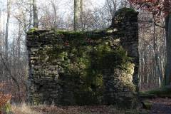 Ruinen/Burgen 