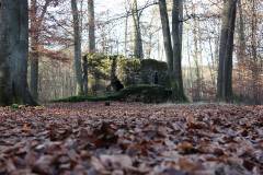 Ruinen/Burgen 