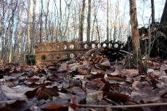 Wald 
