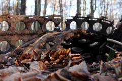 Wald 