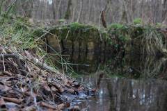 Feuchtgebiet 