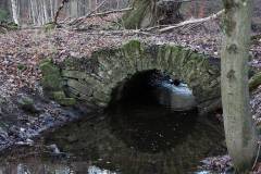 Feuchtgebiet 