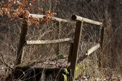 Wald 