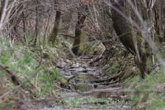 Wasser 