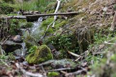 Wasser 