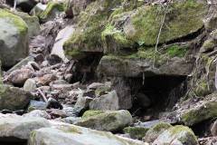 Wasser 