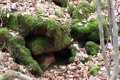 Wald 